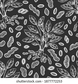 Hand drawn peanut branch and kernels seamless pattern. Organic food vector illustration on chalk board. Retro nut background. Engraved style botanical picture.
