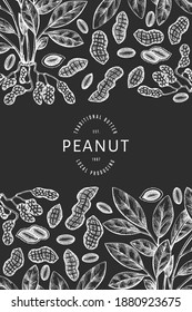 Hand drawn peanut branch and kernels design template. Organic food vector illustration on chalk board. Retro nut illustration. Engraved style botanical picture.
