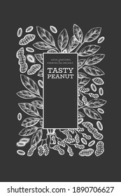 Hand drawn peanut branch and kernels design template. Organic food vector illustration on chalk board. Retro nut illustration. Engraved style botanical picture.