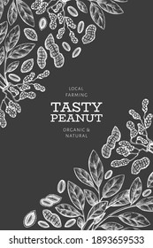 Hand drawn peanut branch and kernels design template. Organic food vector illustration on chalk board. Retro nut illustration. Engraved style botanical picture.
