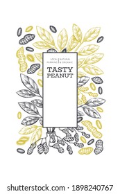 Plantilla de diseño de ramas de cacahuete dibujadas a mano y núcleos. Ilustración vectorial de alimentos orgánicos sobre fondo blanco. Fondo de tuerca retro. Imagen botánica de estilo grabado.