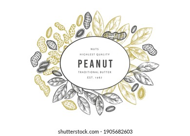 Hand drawn peanut branch and kernels design template. Organic food vector illustration on white background. Retro nut background. Engraved style botanical picture.