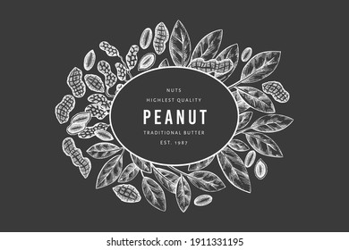 Hand drawn peanut branch and kernels design template. Organic food vector illustration on chalk board. Retro nut illustration. Engraved style botanical picture.