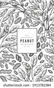 Hand drawn peanut branch and kernels design template. Organic food vector illustration on white background. Retro nut background. Engraved style botanical picture.