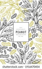 Hand drawn peanut branch and kernels design template. Organic food vector illustration on white background. Retro nut background. Engraved style botanical picture.