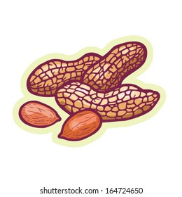 Hand drawn peanut cartoon vector.