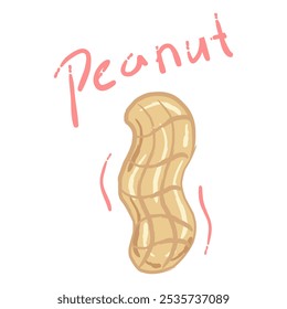 Hand drawn peanut illustration. The peanut is light brown with dark brown stripes indicating the shell segments.