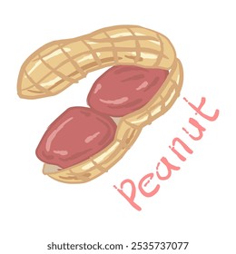 Ilustração de amendoim desenhado à mão com as conchas abertas, revelando dois amendoins marrom avermelhados dentro. As cascas de amendoim têm um padrão de textura áspera, dando uma sensação realista.