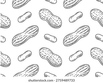 Hand Drawn Peanut Pattern Seamless Repeating of Nuts White Background food organic