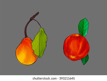 Hand drawn pear and apple  on a white background.