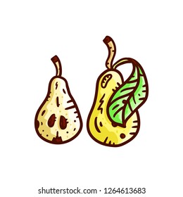 Hand drawn pear illustration. Colored doodle art. Vector concept