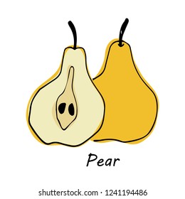 Hand drawn Pear isolated on white background. vector illustration.