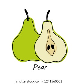 Hand drawn Pear isolated on white background. vector illustration.