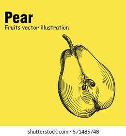 Hand drawn pear isolated on yellow background. Fruits sketch elements. Art hand-drawn vector illustration. Great for poster, banner, voucher, coupon.