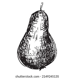 Hand Drawn Pear Sketch. Vector Element In doodle Scribble Style.