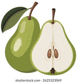 hand drawn pear sliced whole fruit isolated vector illustration on white background