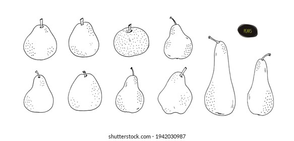Variedades de pera dibujadas a mano. Ilustración vectorial en estilo de esbozo.