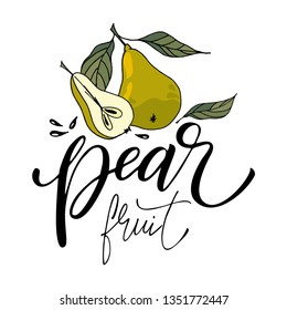 Hand drawn pear vector