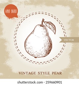 Hand drawn pear. Vintage sketch style organic fruit illustration on grunge background