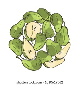 Hand drawn pears in a circle. Fruits on white background. Vector sketch  illustration.