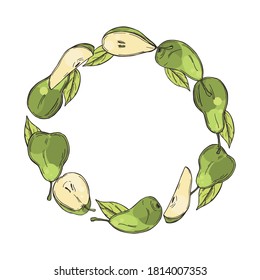 Hand drawn pears.  A circle of fruits on white background. Vector sketch  illustration.