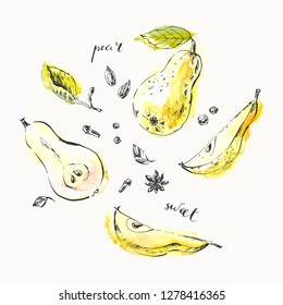 Hand drawn pears, half, cut top view and spices. Summer ink and watercolor stain illustration. For food and drink background.