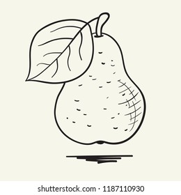 Hand drawn pears illustration