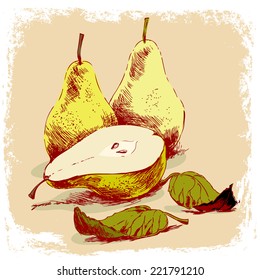 hand drawn of pears.vector illustration