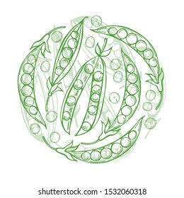 Hand drawn peas in a circle. Vector sketch; illustration.