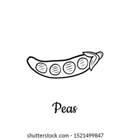 Hand drawn Peas isolated on a white. Vegetables drawings. Vector illustration.
