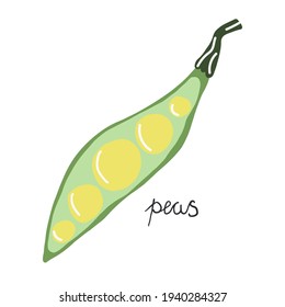 Handgezeichnete Erbsen, moderne Flachgrafik.