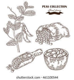 Hand drawn peas plant. Wooden scoop, sack and plate with pea. Vector illustration