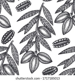 Hand drawn pecan branch and kernels seamless pattern. Organic food vector illustration on white background. Vintage nut illustration. Engraved style botanical picture.