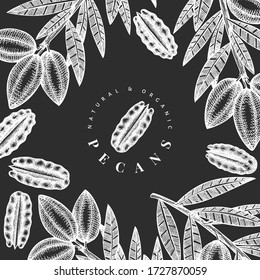 Hand drawn pecan branch and kernels design template. Organic food vector illustration isolated on chalk board. Retro nut illustration. Engraved style botanical picture.