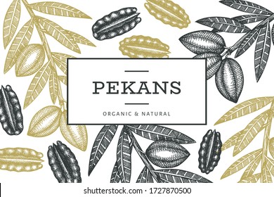 Plantilla de diseño de ramas de pecan dibujadas a mano y núcleos. Ilustración vectorial de alimentos orgánicos sobre fondo blanco. Ilustración de tuerca retro. Imagen botánica de estilo grabado.