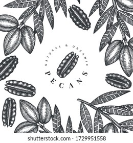 Hand drawn pecan branch and kernels design template. Organic food vector illustration on white background. Retro nut illustration. Engraved style botanical picture.