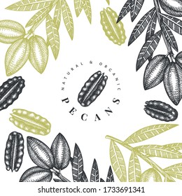 Handgezeichnete Pekanzweig- und Kerneldesignvorlage. Bio-Lebensmittel-Vektorgrafik auf weißem Hintergrund. Retro-Nuss-Abbildung. Botanisches Bild im Stilstil.