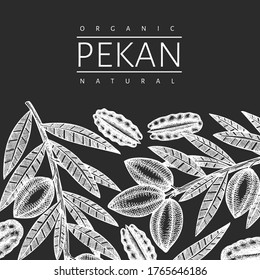 Hand drawn pecan branch and kernels design template. Organic food vector illustration isolated on chalk board. Retro nut illustration. Engraved style botanical picture.