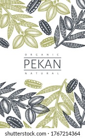 Plantilla de diseño de ramas de pecan dibujadas a mano y núcleos. Ilustración vectorial de alimentos orgánicos sobre fondo blanco. Ilustración de tuerca retro. Imagen botánica de estilo grabado.