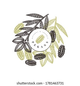 Hand drawn pecan branch and kernels design template. Organic food vector illustration on white background. Retro nut illustration. Engraved style botanical picture.