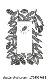 Hand drawn pecan branch and kernels design template. Organic food vector illustration on white background. Retro nut illustration. Engraved style botanical picture.