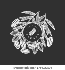Plantilla de diseño de ramas de pecan dibujadas a mano y núcleos. Ilustración vectorial de alimentos orgánicos aislada en pizarra de tiza. Ilustración de tuerca retro. Imagen botánica de estilo grabado.