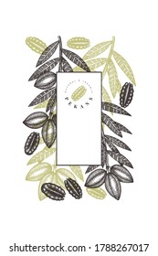 Hand drawn pecan branch and kernels design template. Organic food vector illustration on white background. Retro nut illustration. Engraved style botanical picture.
