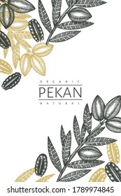Handgezeichnete Pecan-Filiale und Kernel-Design-Vorlage. Organische Lebensmittelvektorgrafik auf weißem Hintergrund. Retro-Nuss-Illustration. botanisches Bild im Stilstil.
