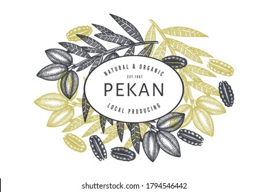 Hand drawn pecan branch and kernels design template. Organic food vector illustration on white background. Retro nut illustration. Engraved style botanical picture.