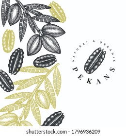Plantilla de diseño de ramas de pecan dibujadas a mano y núcleos. Ilustración vectorial de alimentos orgánicos sobre fondo blanco. Ilustración de tuerca retro. Imagen botánica de estilo grabado.