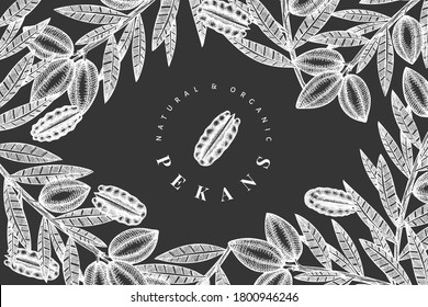 Hand drawn pecan branch and kernels design template. Organic food vector illustration on chalk board. Retro nut illustration. Engraved style botanical picture.