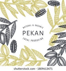 Hand drawn pecan branch and kernels design template. Organic food vector illustration on white background. Retro nut illustration. Engraved style botanical picture.