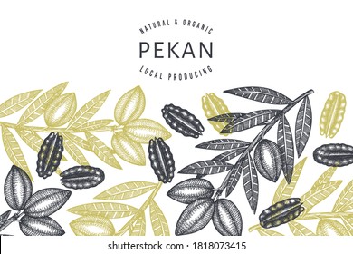 Handgezeichnete Pecan-Filiale und Kernel-Design-Vorlage. Organische Lebensmittelvektorgrafik auf weißem Hintergrund. Retro-Nuss-Illustration. botanisches Bild im Stilstil.