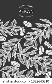 Hand drawn pecan branch and kernels design template. Organic food vector illustration isolated on chalk board. Retro nut illustration. Engraved style botanical picture.